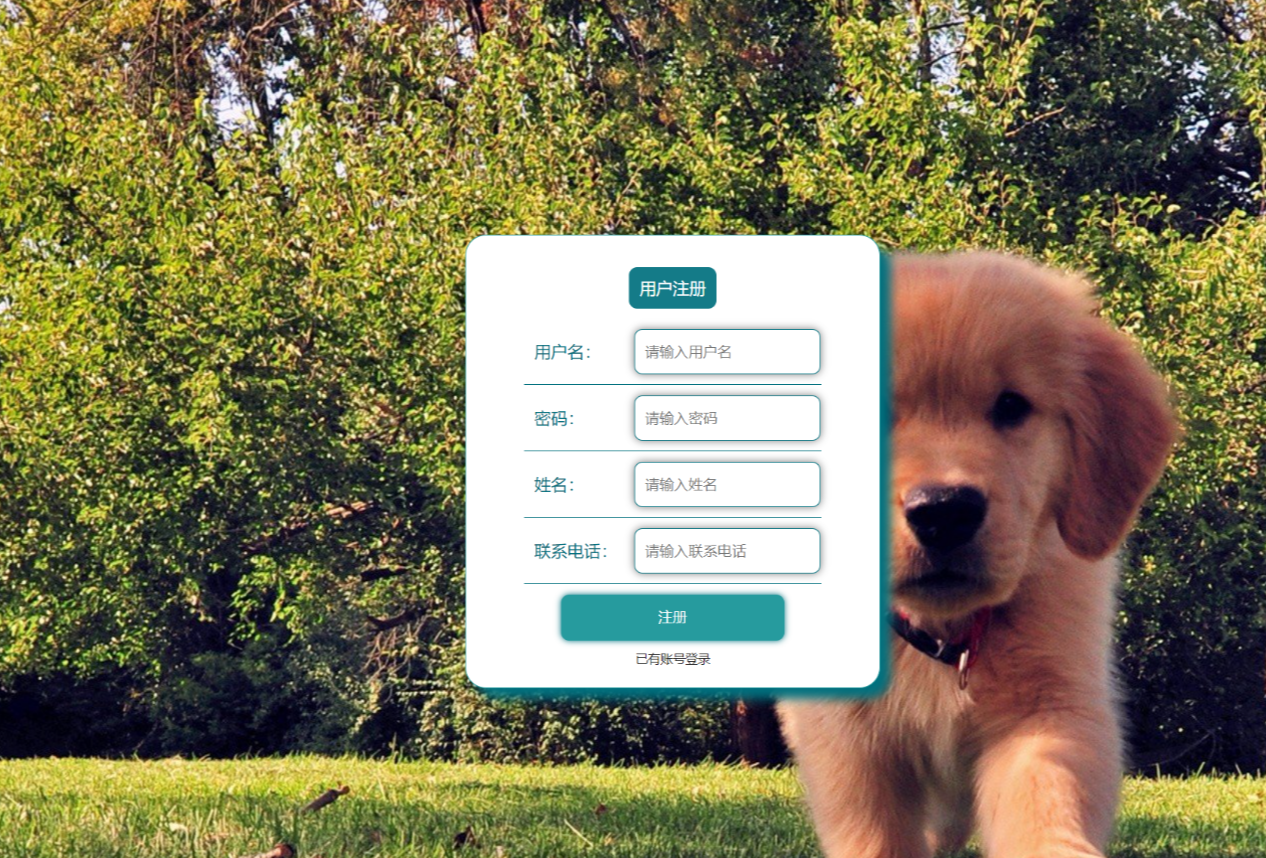 注册.png 注册.png