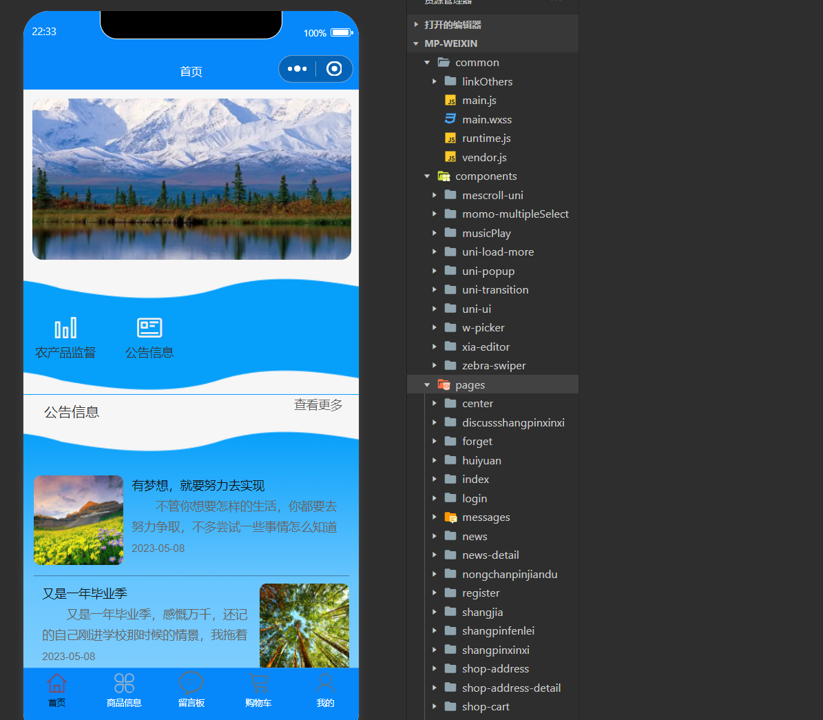 基于微信小程序的农业电商服务系统