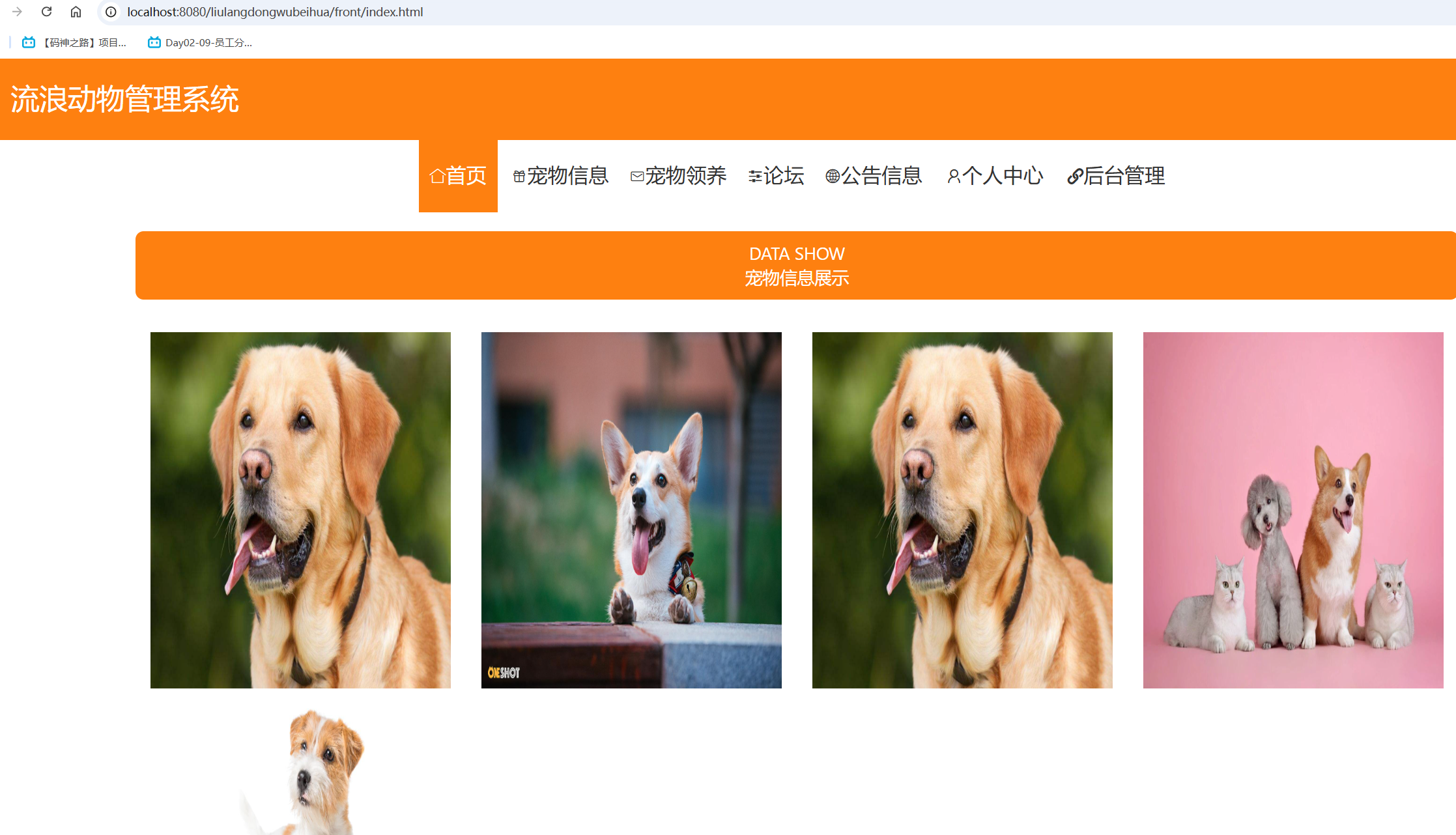 首页.png 首页.png